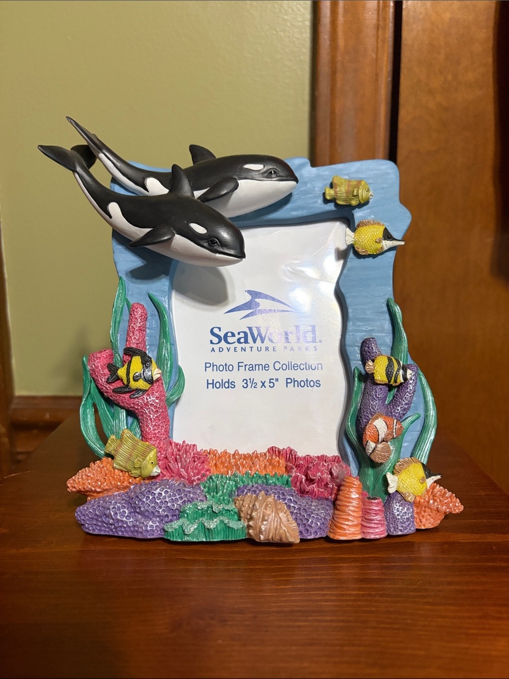 SeaWorld Blue Ocean Dolphin Photo Frame-Holds 3 1/2 x 5” Photo